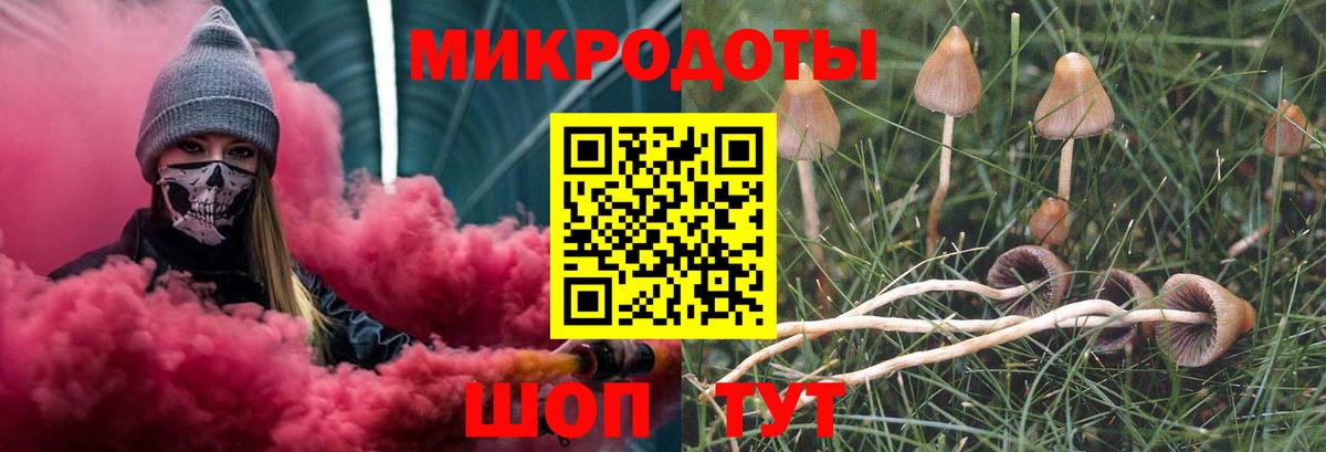 Галлюциногенные грибы прущие грибы  Псилоцибиновые грибы мицелий  Вход с VPN  Бузулук 