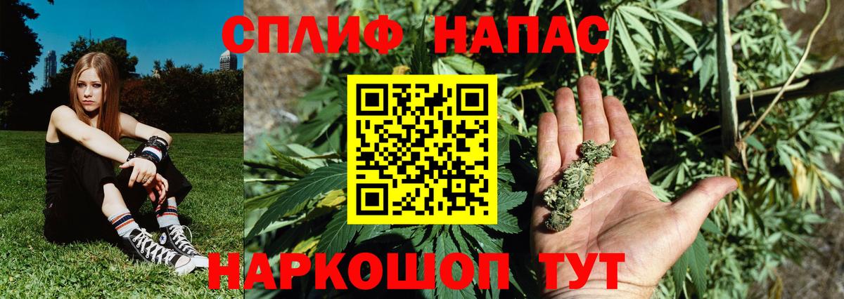 Каннабис Bruce Banner  Вход с VPN  Бошки Шишки White Widow  Бузулук  Марихуана Ganja  Бошки Шишки сатива 